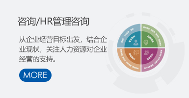 咨询/HR管理咨询